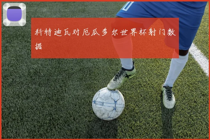 科特迪瓦对厄瓜多尔世界杯射门数据