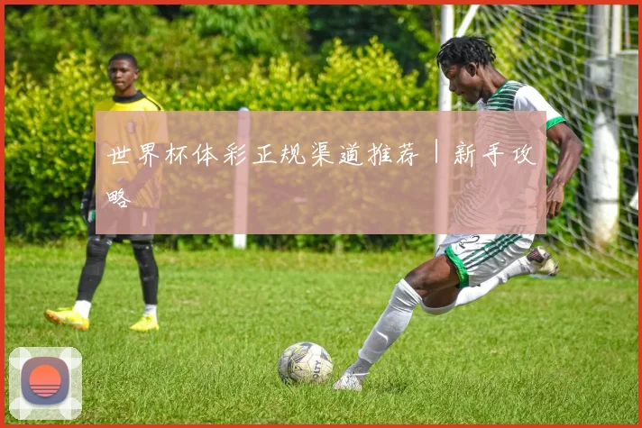 世界杯体彩正规渠道推荐｜新手攻略