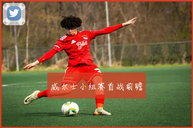 威尔士小组赛首战前瞻