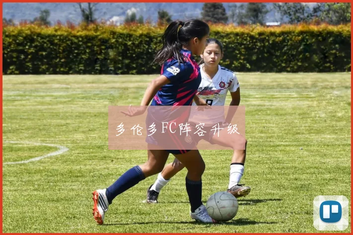 多伦多FC阵容升级