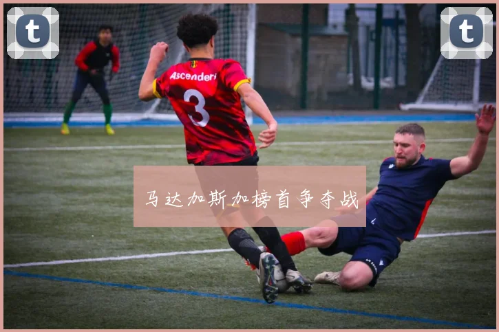 马达加斯加榜首争夺战