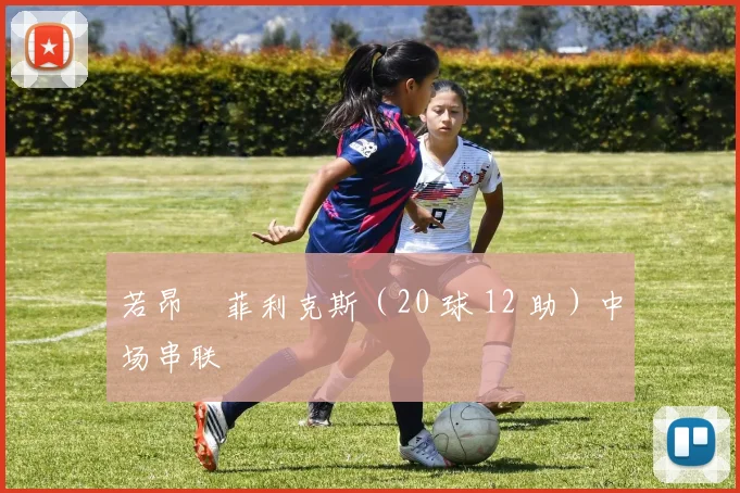 若昂・菲利克斯（20 球 12 助）中场串联