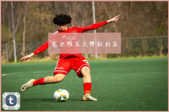 塞尔维亚交锋叙利亚