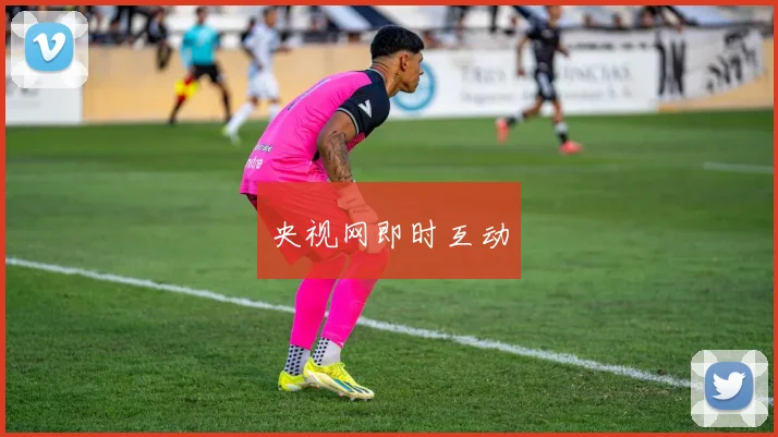 央视网即时互动