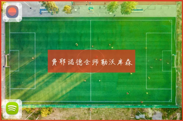 费耶诺德会师勒沃库森