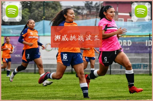 挪威挑战波兰