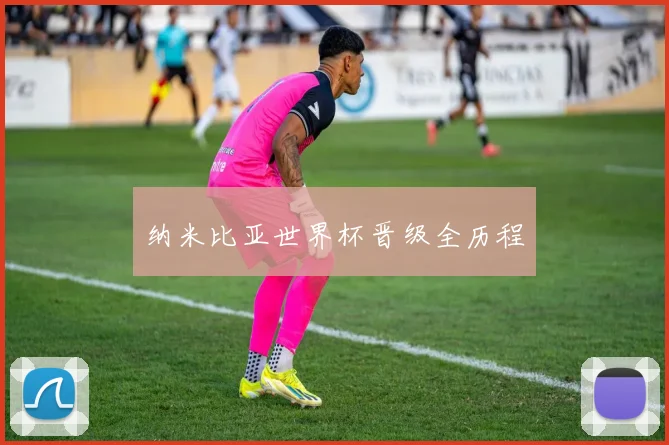 纳米比亚世界杯晋级全历程