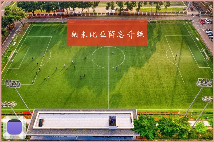纳米比亚阵容升级