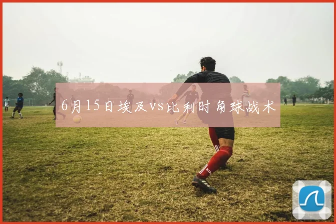 6月15日埃及vs比利时角球战术