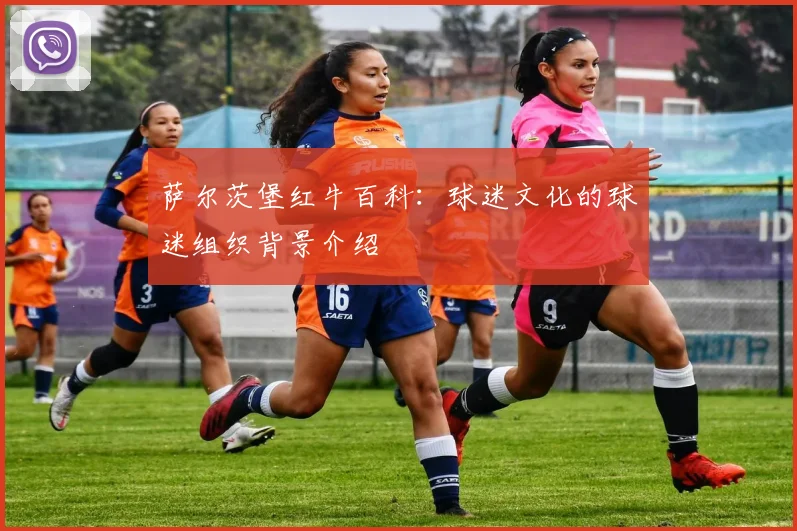 萨尔茨堡红牛百科：球迷文化的球迷组织背景介绍
