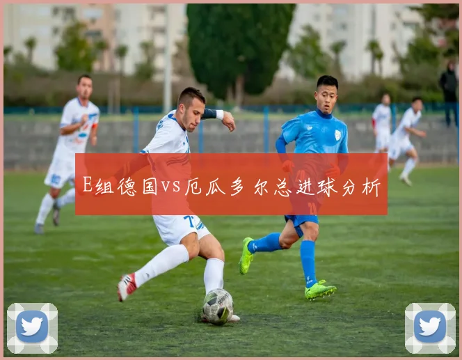 E组德国vs厄瓜多尔总进球分析