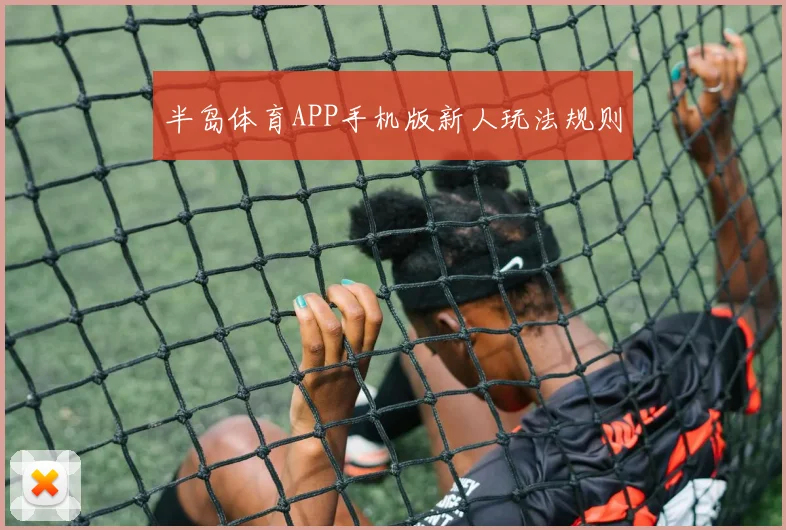 半岛体育APP手机版新人玩法规则